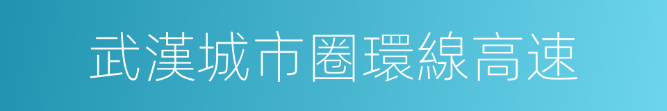 武漢城市圈環線高速的同義詞
