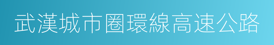 武漢城市圈環線高速公路的同義詞