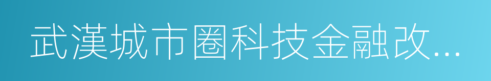 武漢城市圈科技金融改革創新專項方案的同義詞