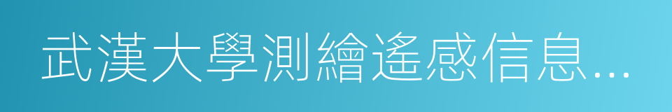 武漢大學測繪遙感信息工程國家重點實驗室的同義詞