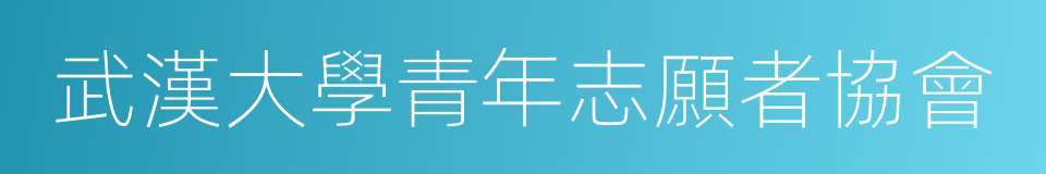 武漢大學青年志願者協會的同義詞