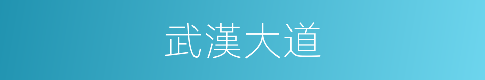 武漢大道的同義詞