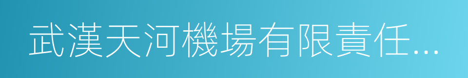 武漢天河機場有限責任公司的同義詞