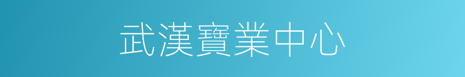 武漢寶業中心的同義詞