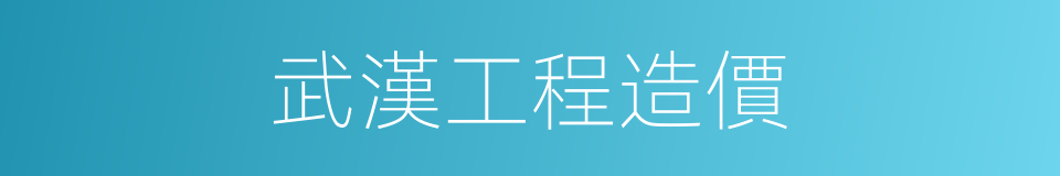 武漢工程造價的同義詞