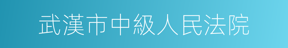 武漢市中級人民法院的同義詞