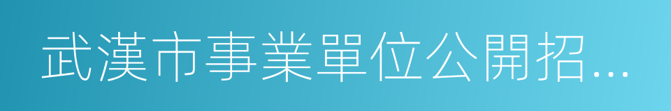 武漢市事業單位公開招聘工作人員報名表的同義詞