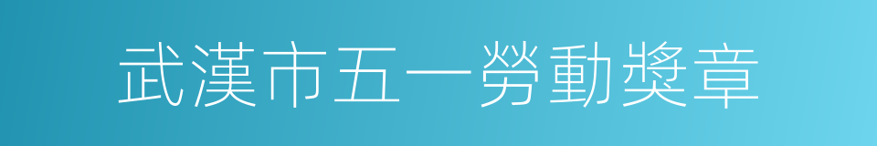 武漢市五一勞動獎章的同義詞