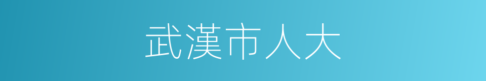 武漢市人大的同義詞