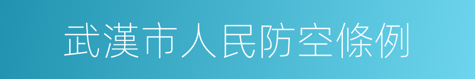 武漢市人民防空條例的同義詞