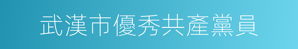 武漢市優秀共產黨員的同義詞