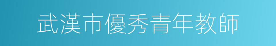 武漢市優秀青年教師的同義詞