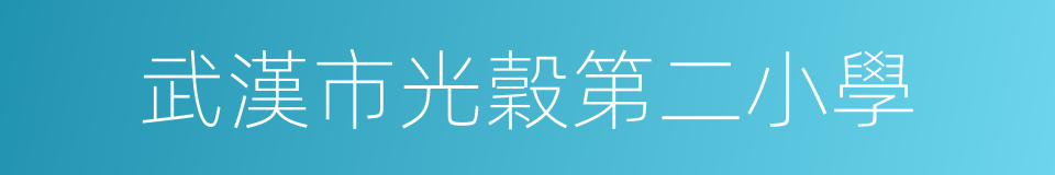 武漢市光穀第二小學的同義詞
