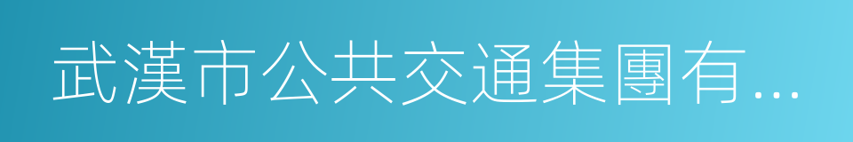 武漢市公共交通集團有限責任公司的同義詞