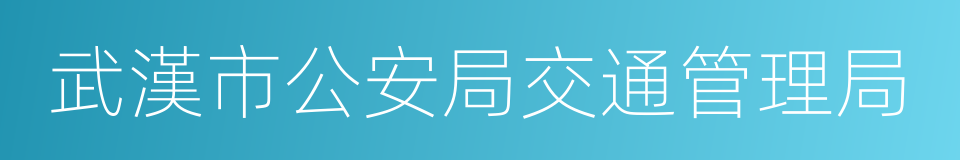 武漢市公安局交通管理局的同義詞