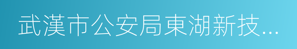 武漢市公安局東湖新技術開發區分局的同義詞