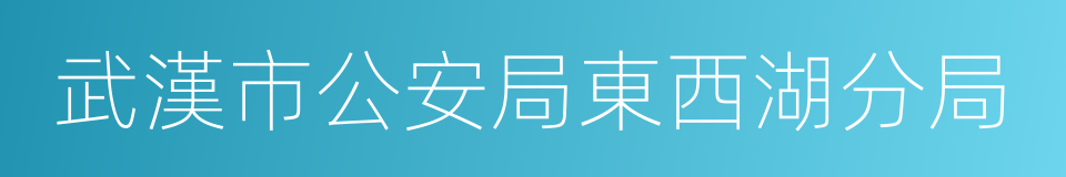 武漢市公安局東西湖分局的同義詞