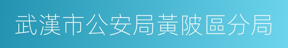 武漢市公安局黃陂區分局的同義詞