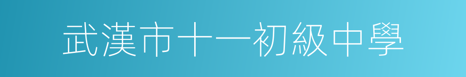 武漢市十一初級中學的同義詞