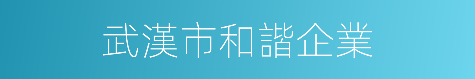 武漢市和諧企業的同義詞