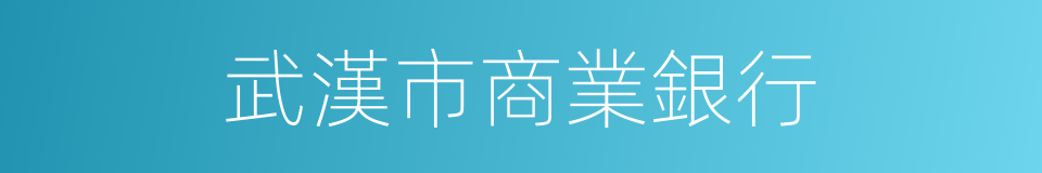 武漢市商業銀行的同義詞