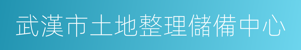 武漢市土地整理儲備中心的同義詞