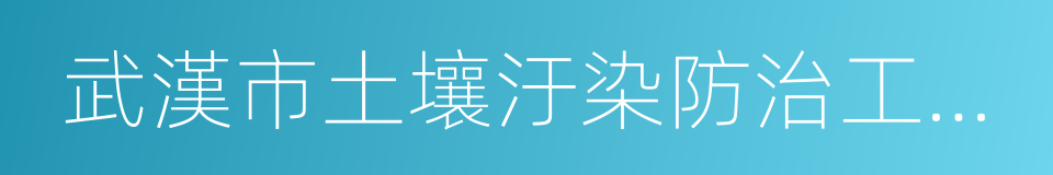 武漢市土壤汙染防治工作方案的同義詞