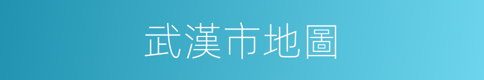 武漢市地圖的同義詞