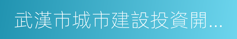 武漢市城市建設投資開發集團有限公司的同義詞