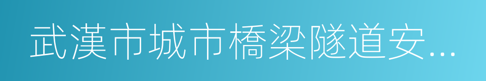 武漢市城市橋梁隧道安全管理條例的同義詞