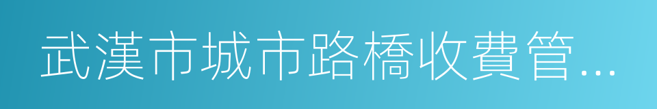 武漢市城市路橋收費管理中心的同義詞