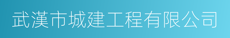 武漢市城建工程有限公司的同義詞