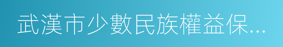 武漢市少數民族權益保障條例的同義詞