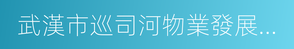 武漢市巡司河物業發展有限公司的同義詞