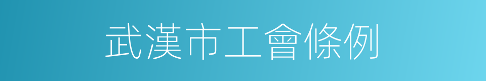 武漢市工會條例的同義詞