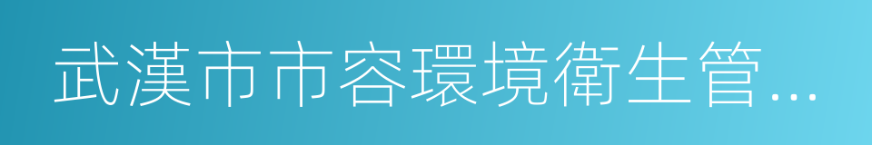 武漢市市容環境衛生管理條例的同義詞