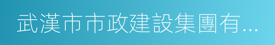 武漢市市政建設集團有限公司的同義詞