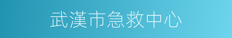 武漢市急救中心的同義詞