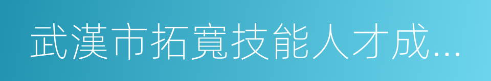 武漢市拓寬技能人才成長通道實施辦法的同義詞