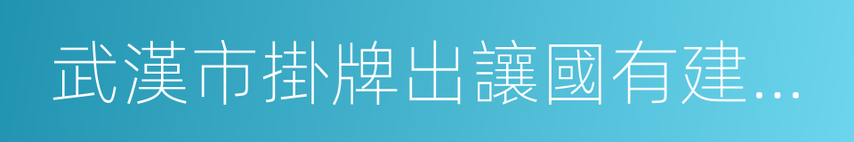 武漢市掛牌出讓國有建設用地使用權公告的同義詞