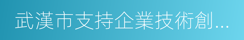 武漢市支持企業技術創新政策清單的同義詞