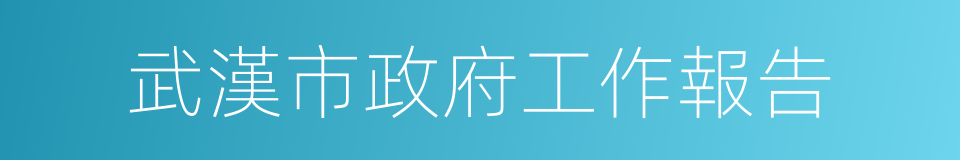 武漢市政府工作報告的同義詞