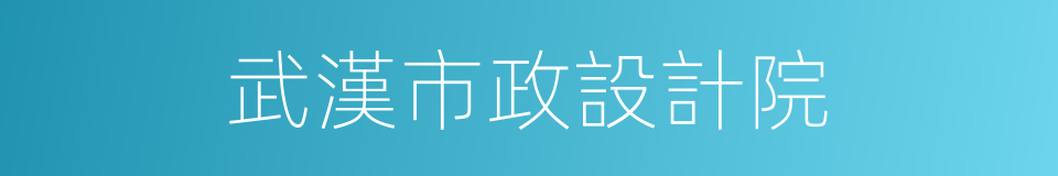 武漢市政設計院的同義詞