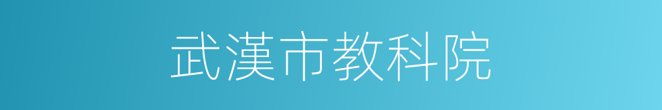 武漢市教科院的同義詞
