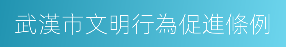 武漢市文明行為促進條例的同義詞