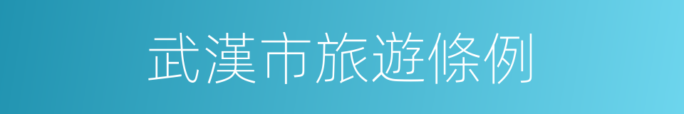 武漢市旅遊條例的同義詞