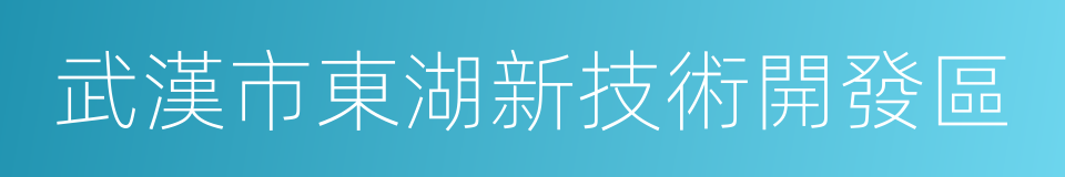 武漢市東湖新技術開發區的同義詞