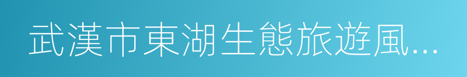 武漢市東湖生態旅遊風景區的同義詞