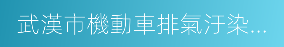 武漢市機動車排氣汙染防治管理中心的同義詞