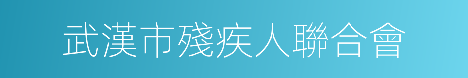 武漢市殘疾人聯合會的意思